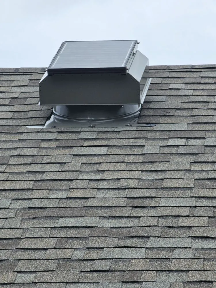 Slide of Roofs by Jeff