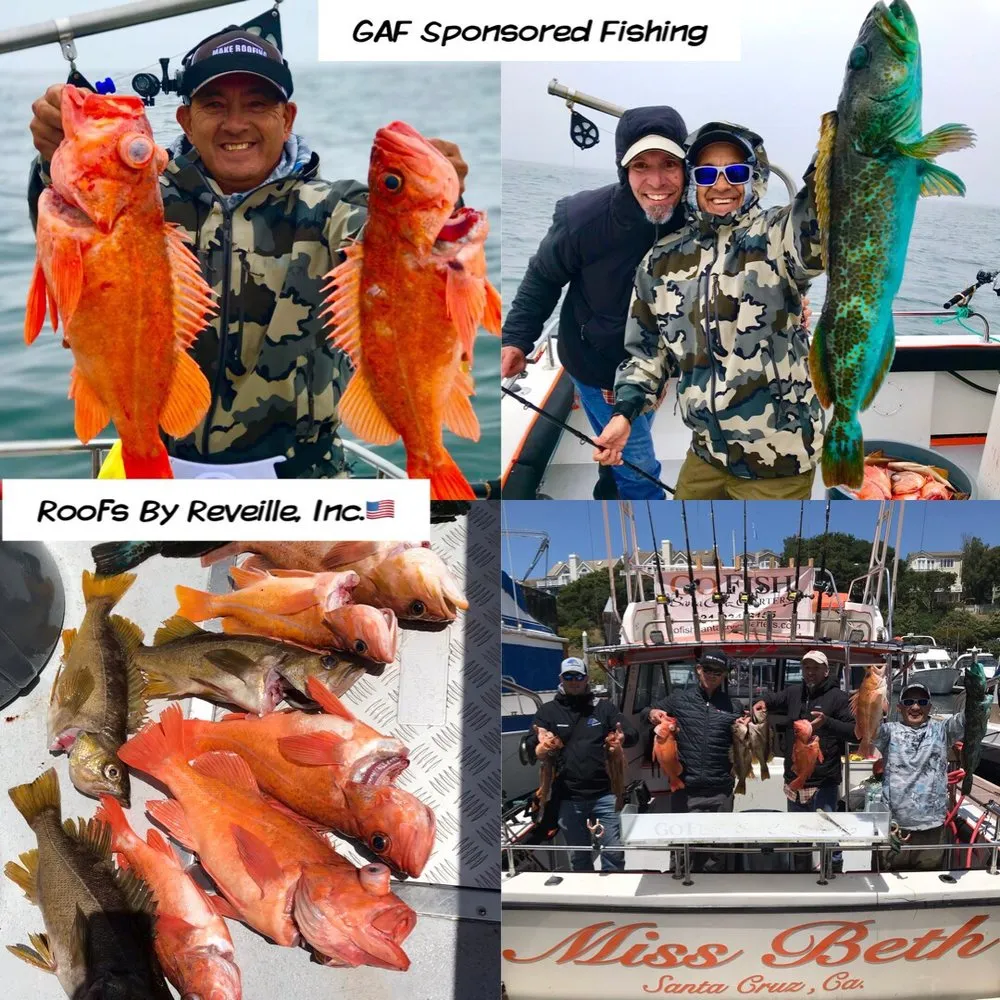 Slide of Roofs By Reveille