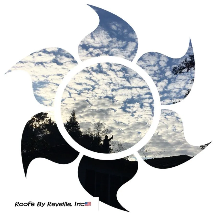 Slide of Roofs By Reveille