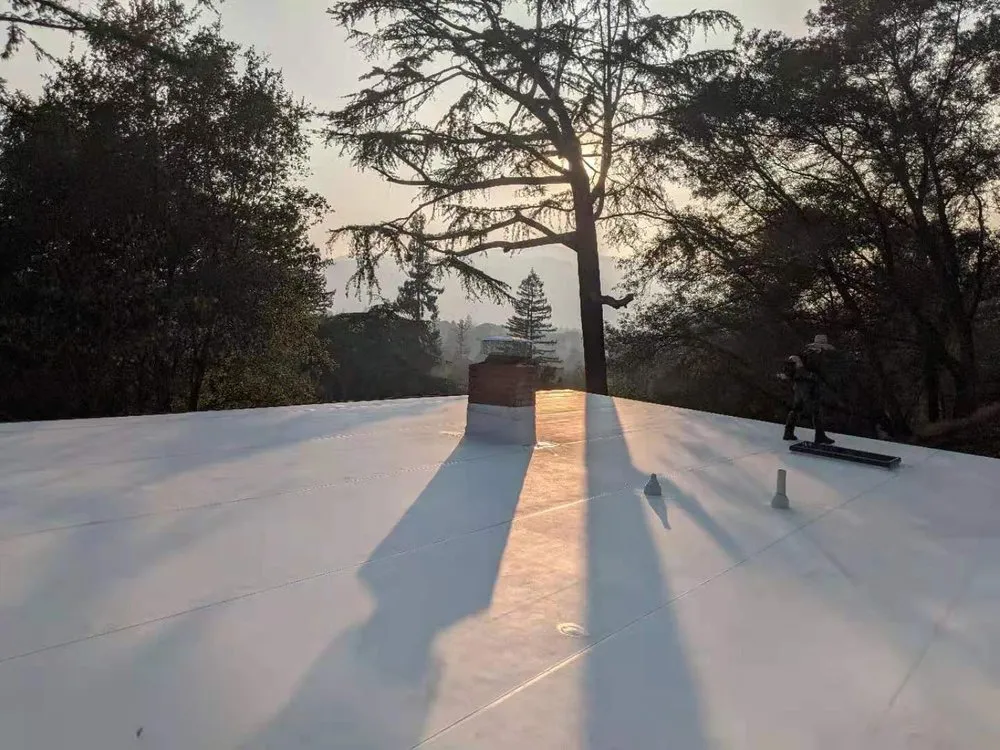 Slide of Roofs By Reveille