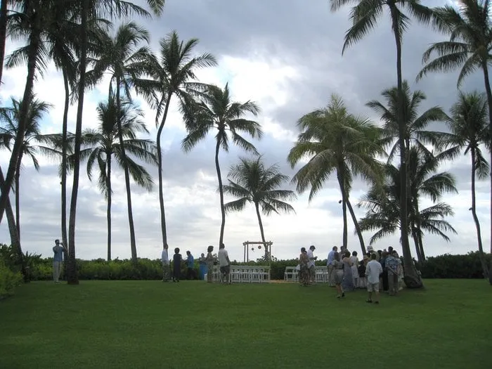 Slide of Roofs By Reveille