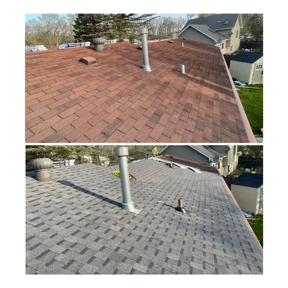 Slide of Roofs by Wayne
