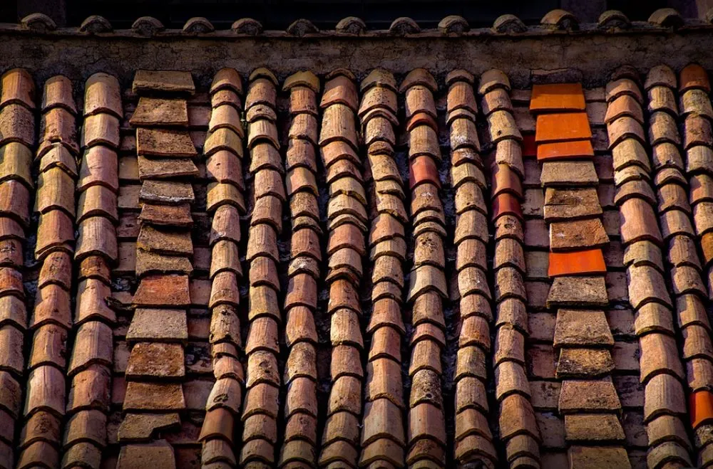 Slide of Roofs For Life