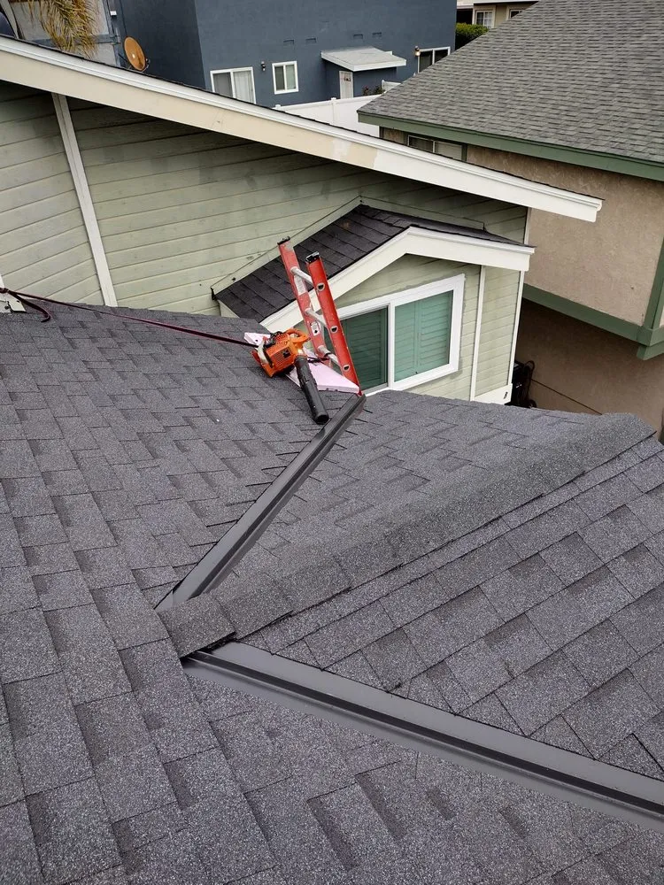 Slide of Roofs of Art