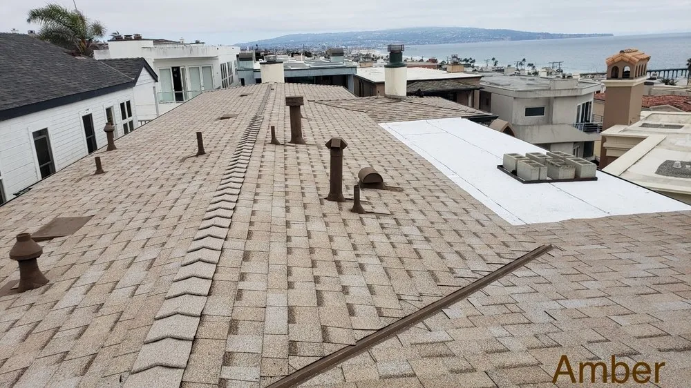 Slide of Roofs of Art