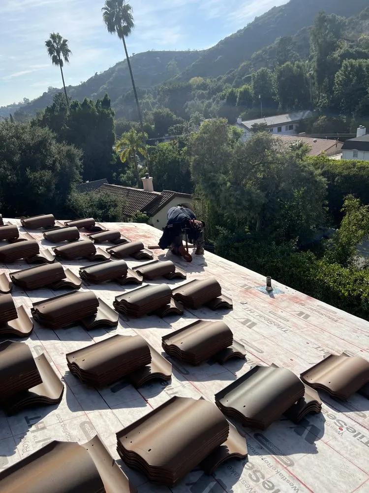 Slide of Roofs of Art