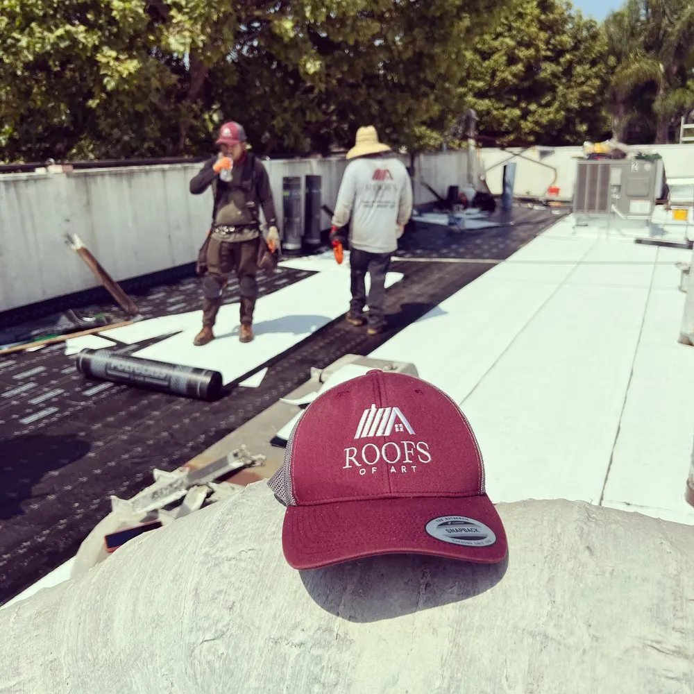 Slide of Roofs of Art