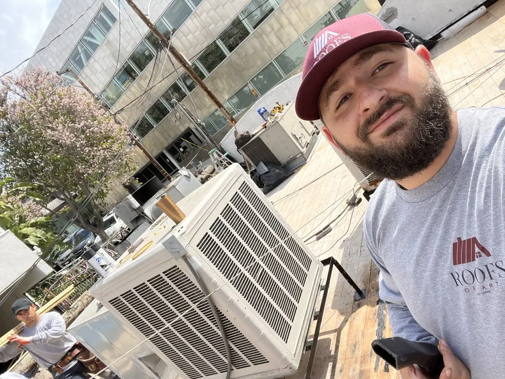 Slide of Roofs of Art