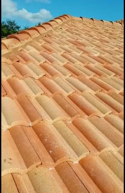 Slide of Roofs to Go