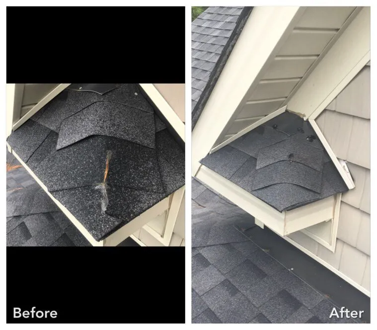 Slide of Roofstruction