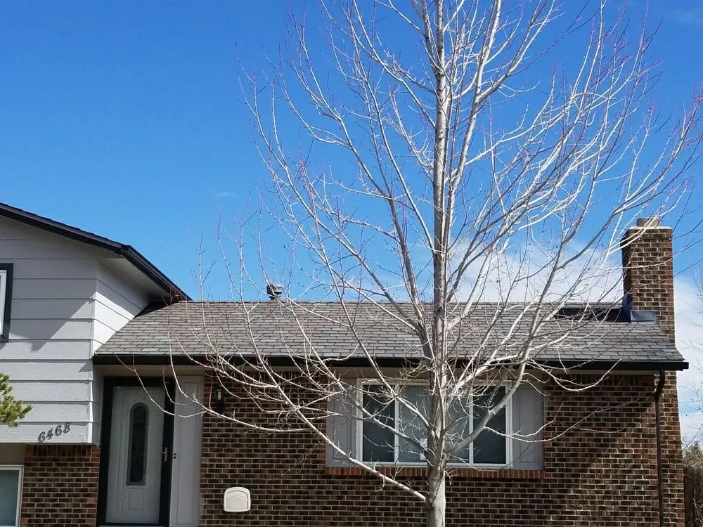 Slide of RoofTec Precision Exteriors