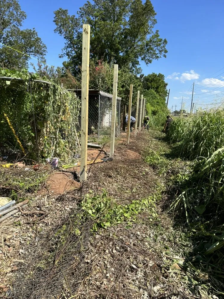 Slide of Rooftop Restoration