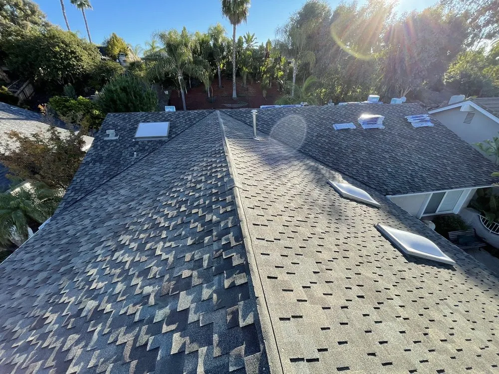 Slide of Rooftop Rob