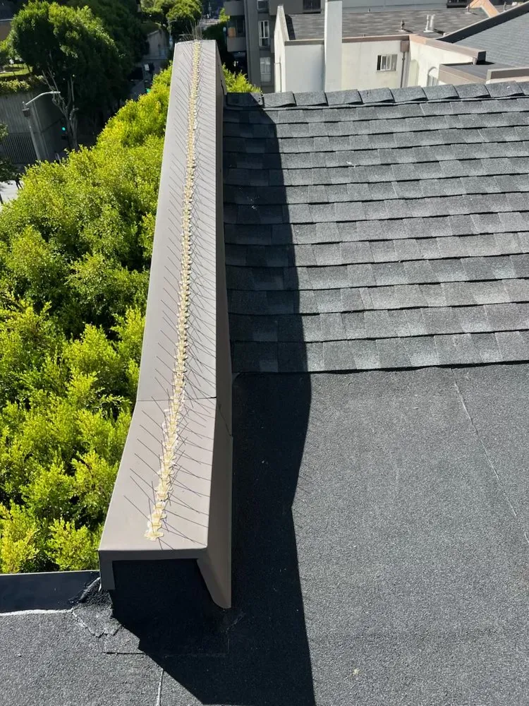 Slide of Rooftop Roofing