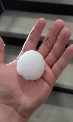 Rooftop Veterans Logo