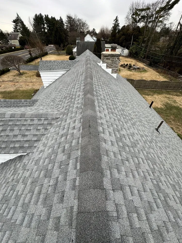 Slide of Rooftop Warriors