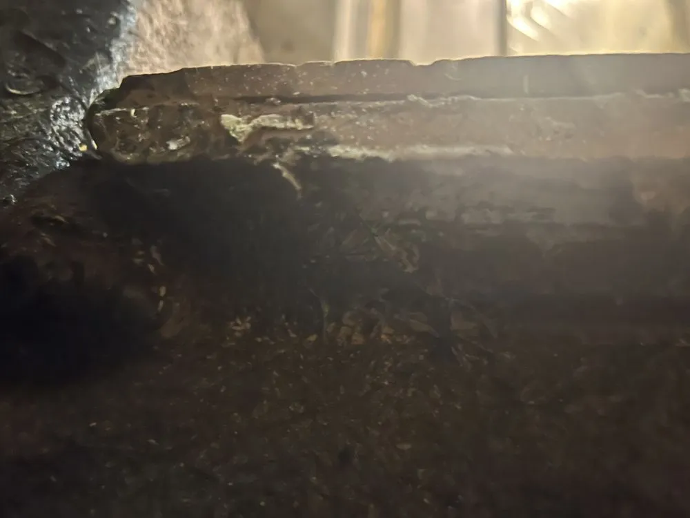 Slide of Rooftop Warriors