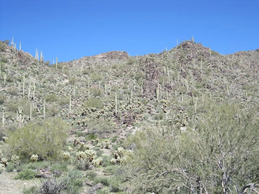 Slide of Roosevelt General Contractors