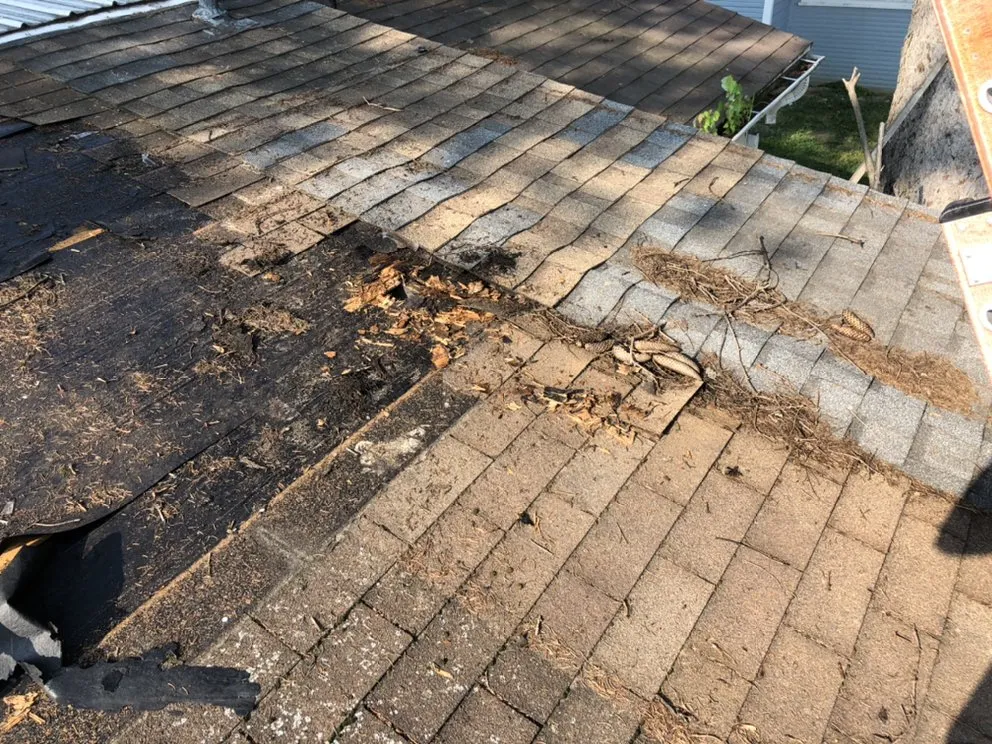 Slide of Rose Roofing & Repair