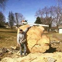 Slide of Rose Tree & Stump Grinding Service