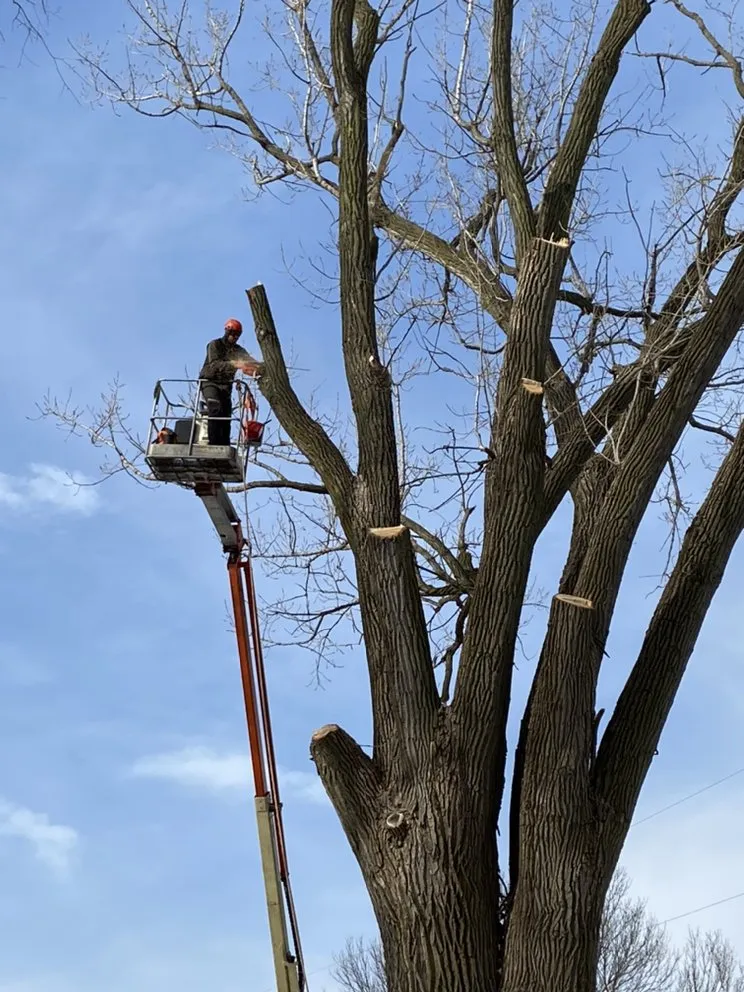 Slide of Ross Exteriors