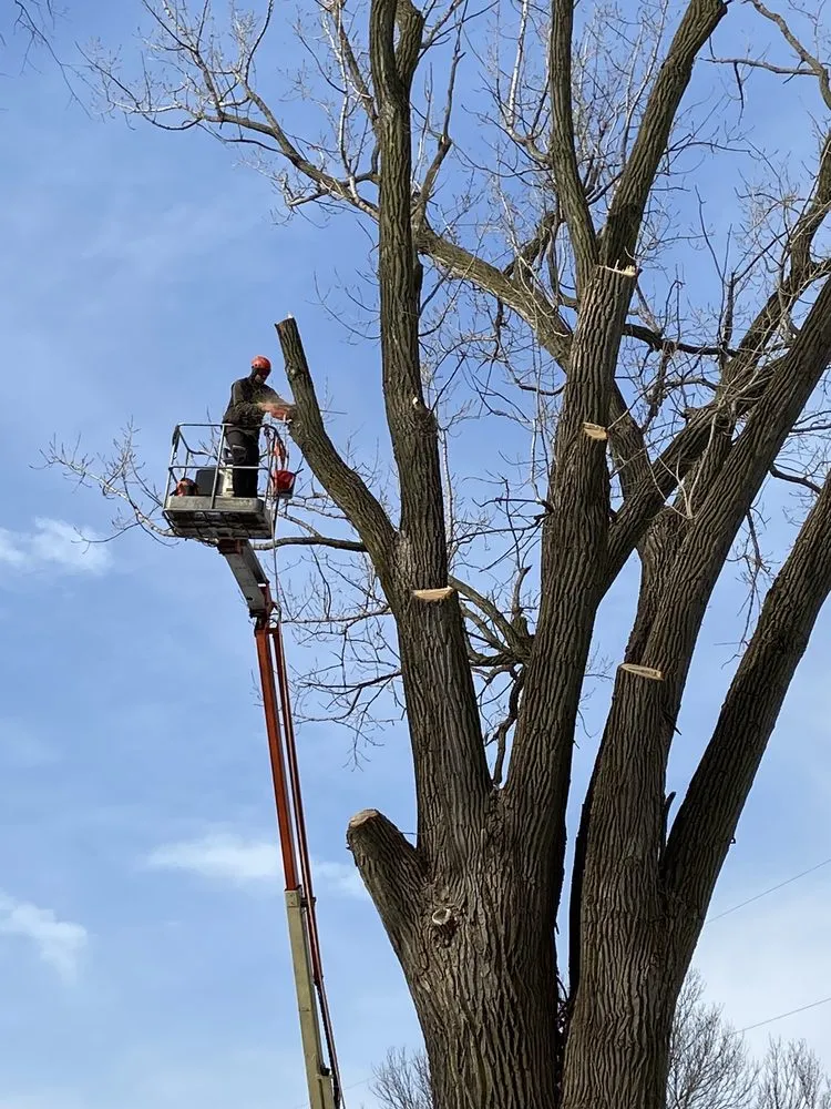 Slide of Ross Exteriors