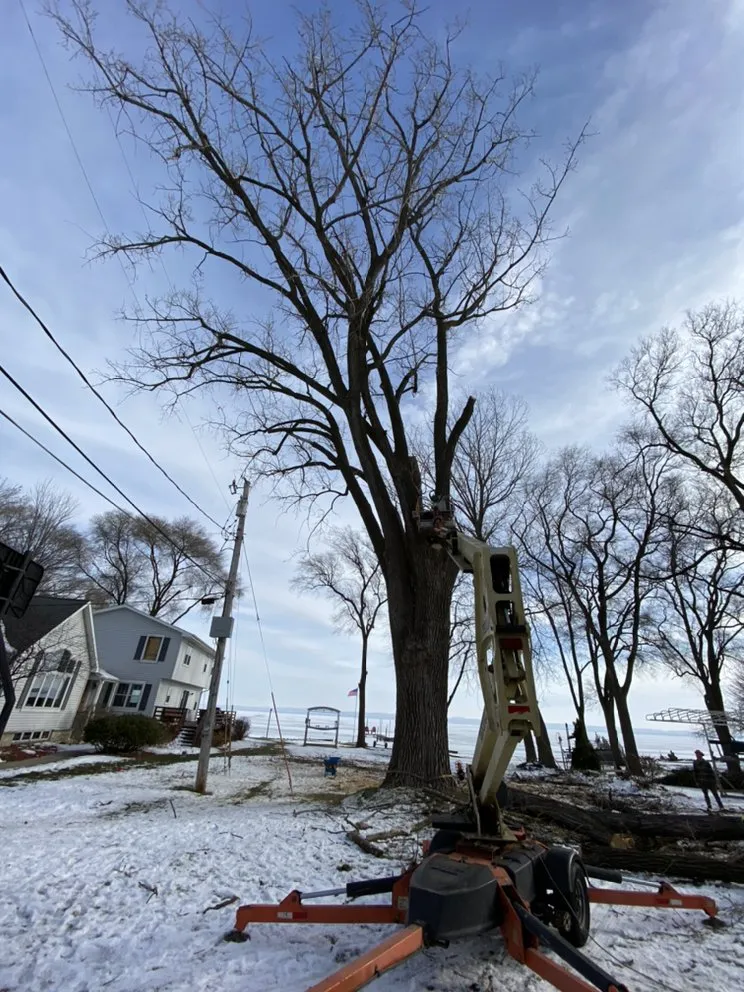 Slide of Ross Exteriors