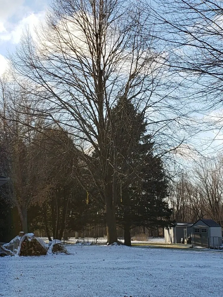 Slide of Ross Exteriors