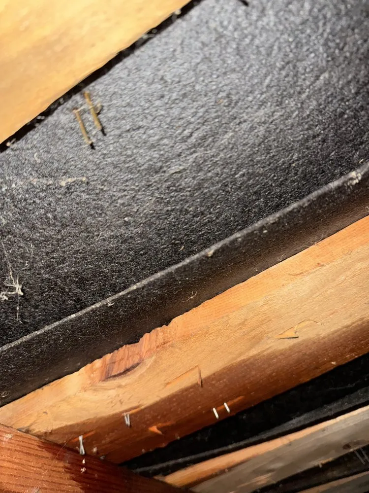 Slide of Rossetta's Roofing