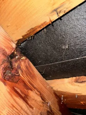 Rossetta's Roofing Logo