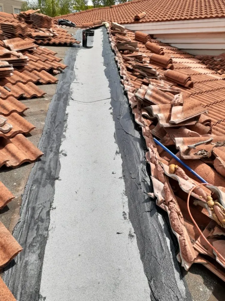 Slide of Rowan roofing