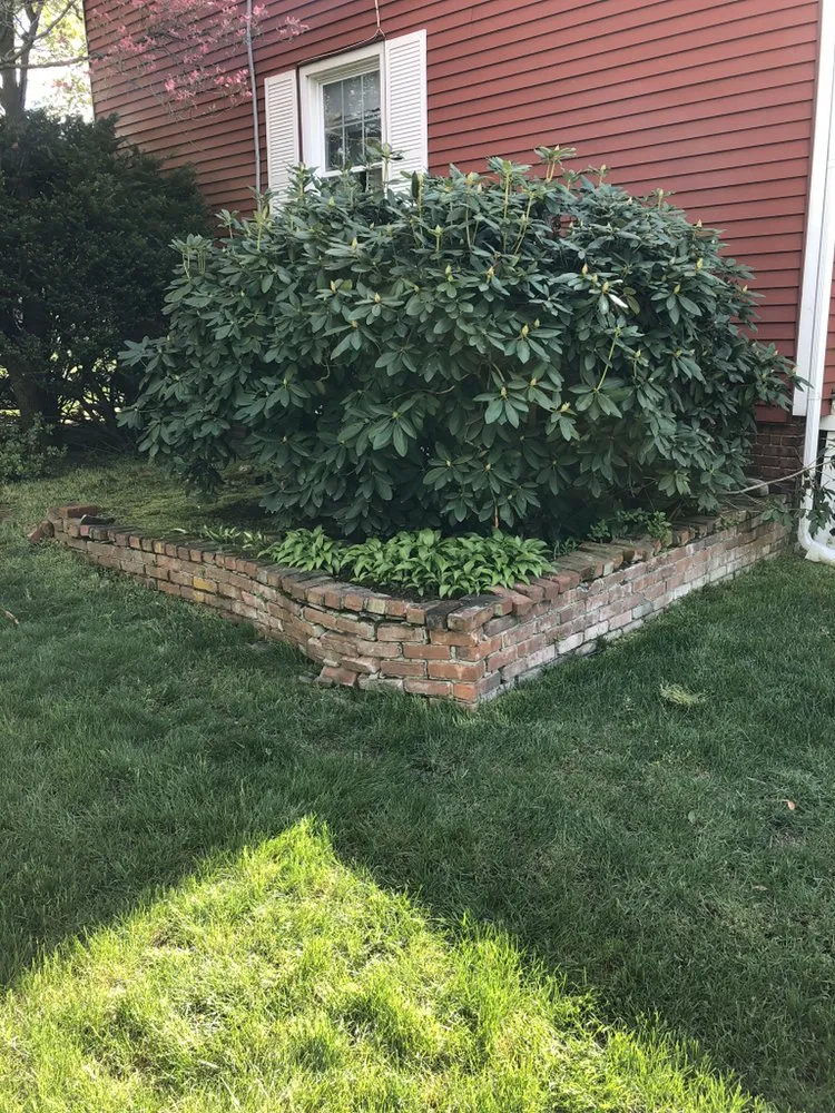 Slide of Royal 1 Construction