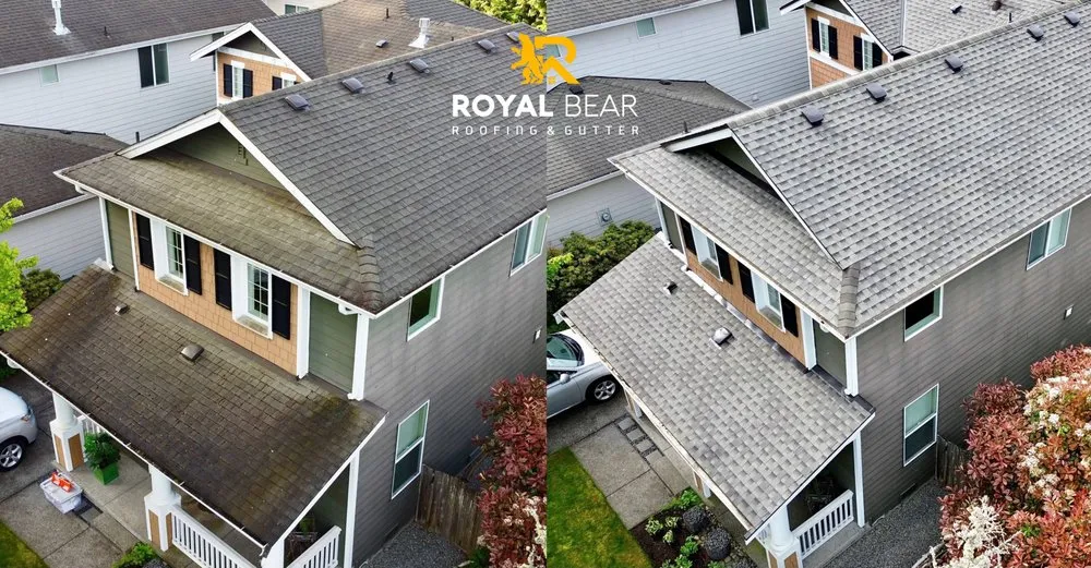 Slide of Royal Bear Roof & Gutter