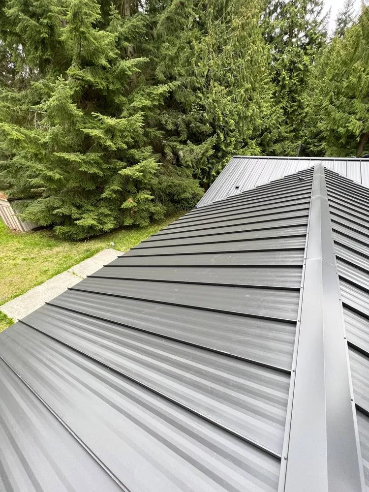 Slide of Royal Bear Roof & Gutter