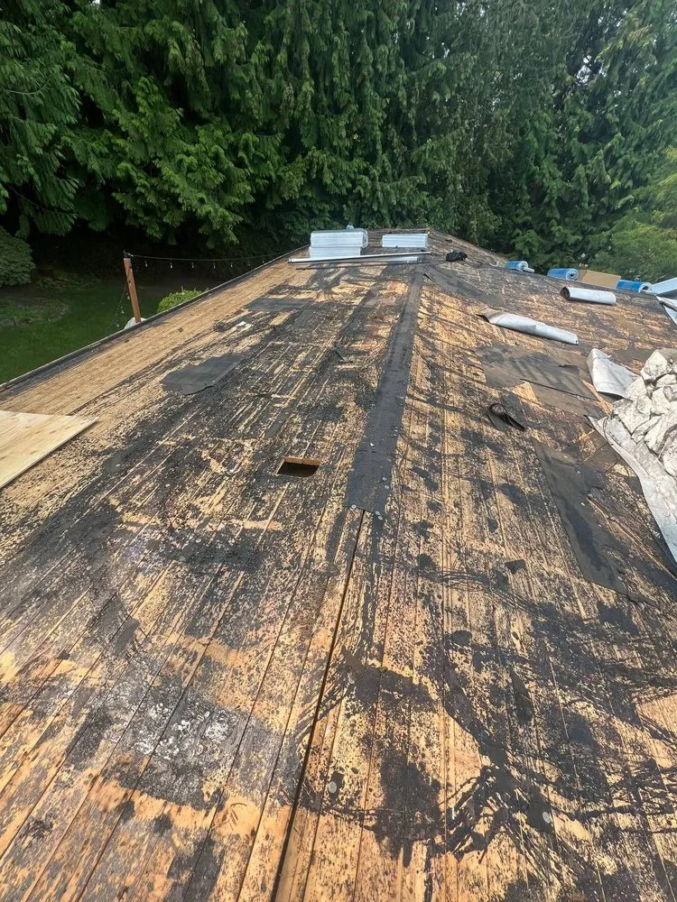 Slide of Royal Bear Roof & Gutter