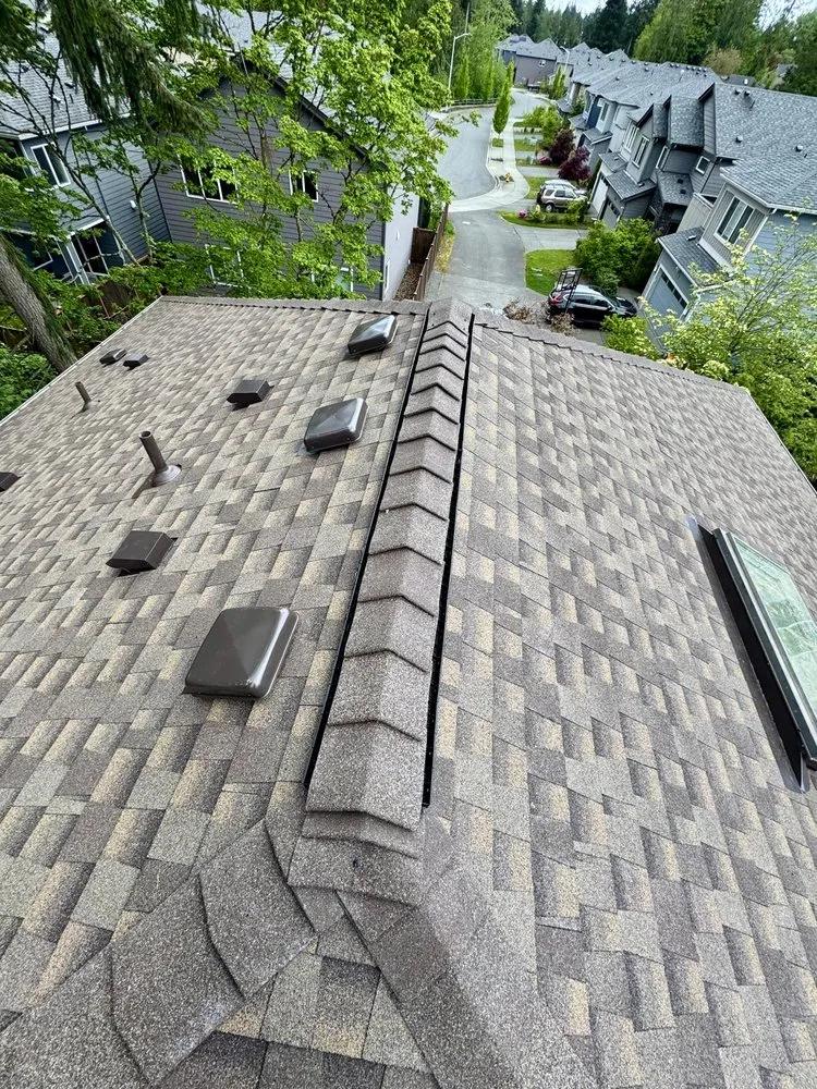 Slide of Royal Bear Roof & Gutter