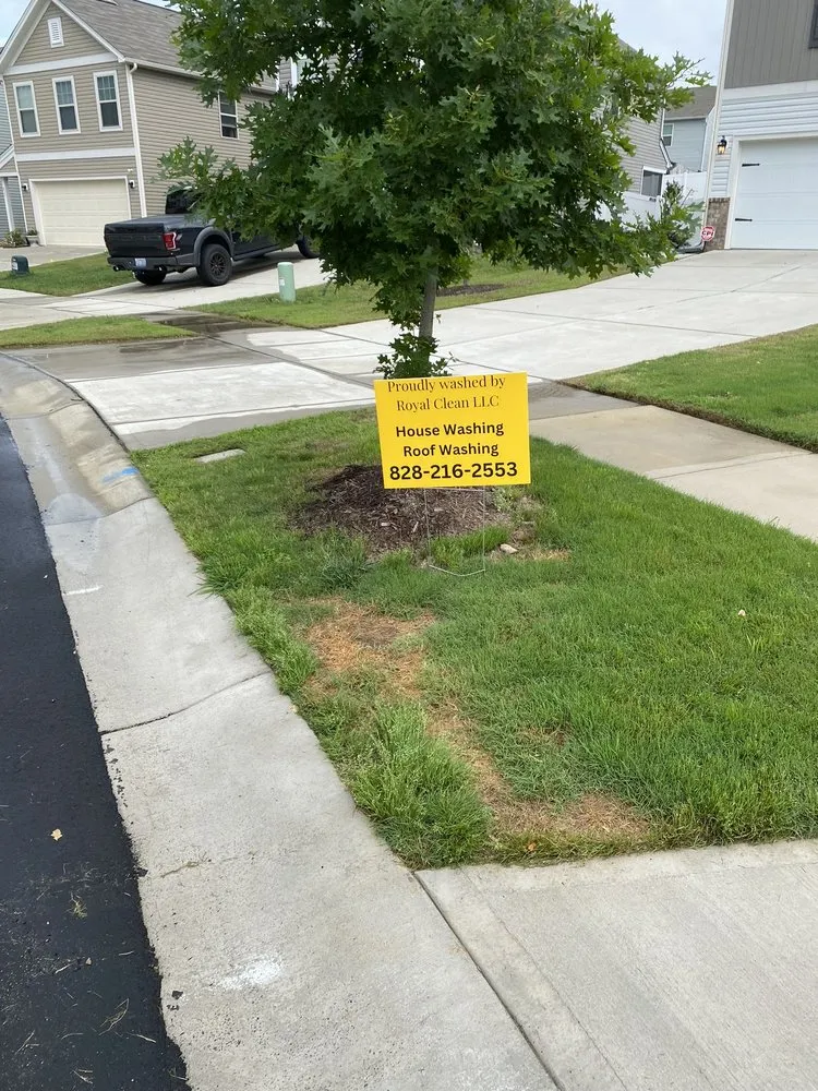 Slide of Royal Clean