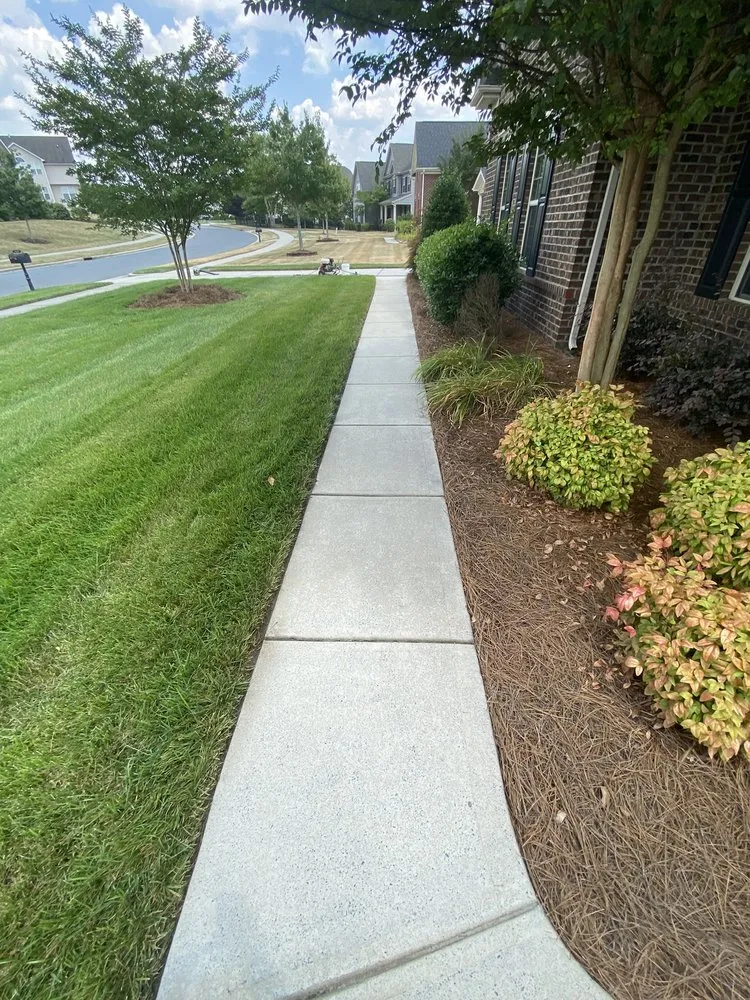 Slide of Royal Clean