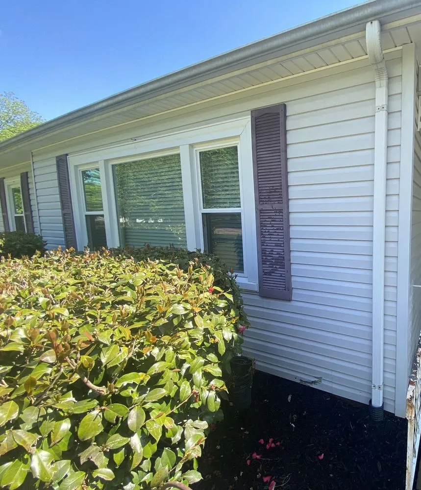 Slide of Royal Clean