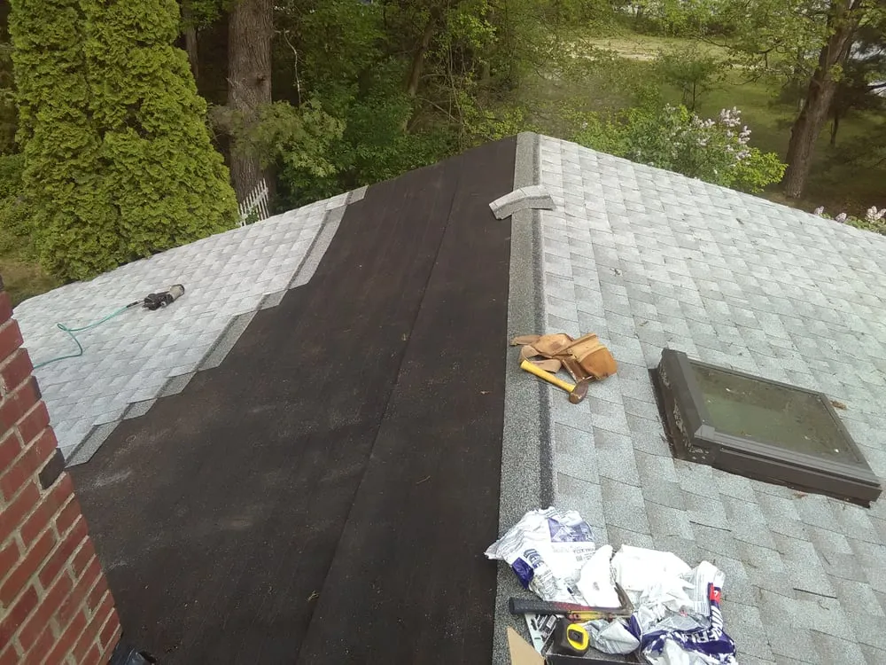 Slide of Royal Painting & Building