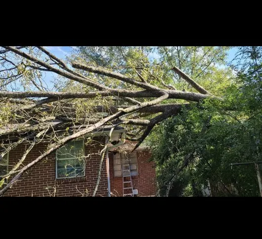 Slide of Royal Roofing & Exteriors