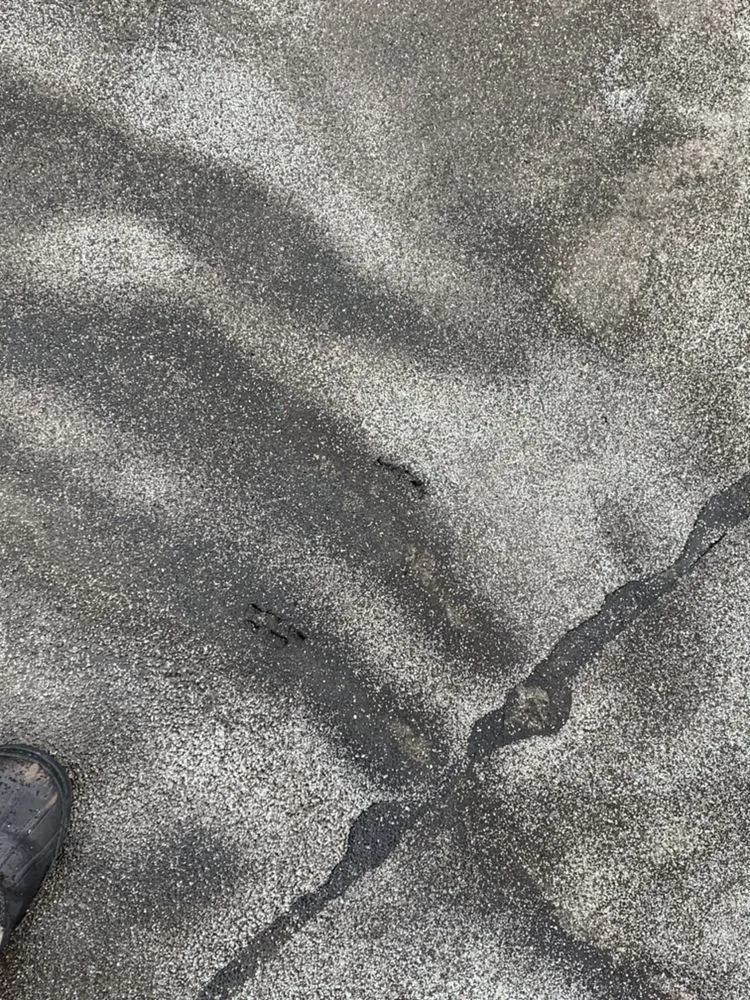 Slide of Royal Roofing and Tuckpointing