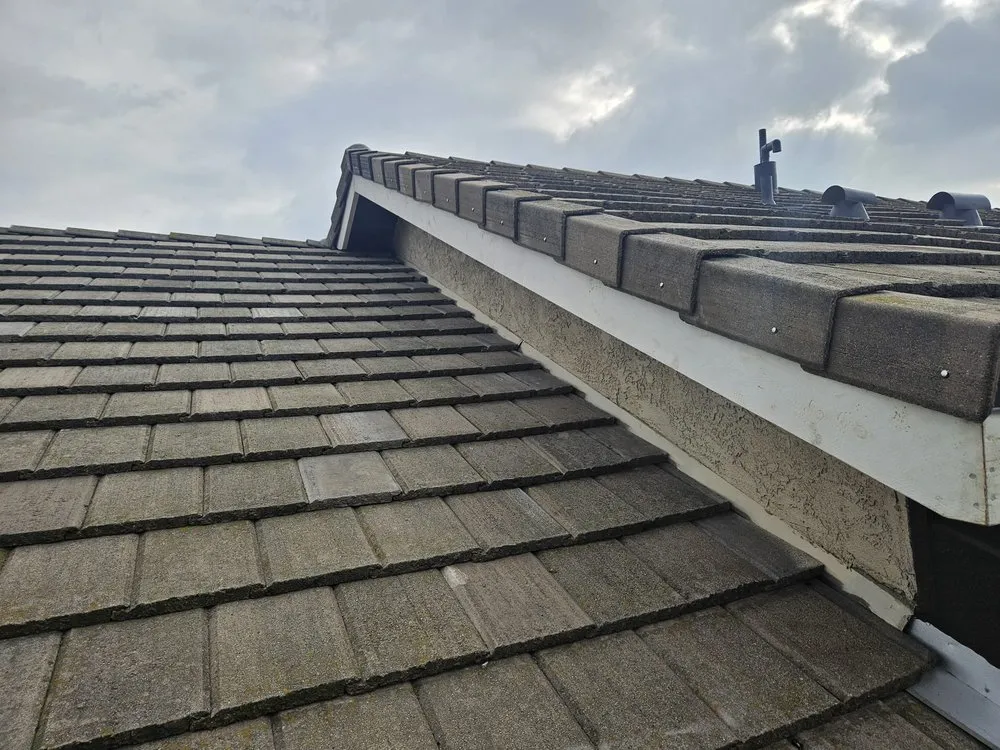 Slide of Royalty Finish