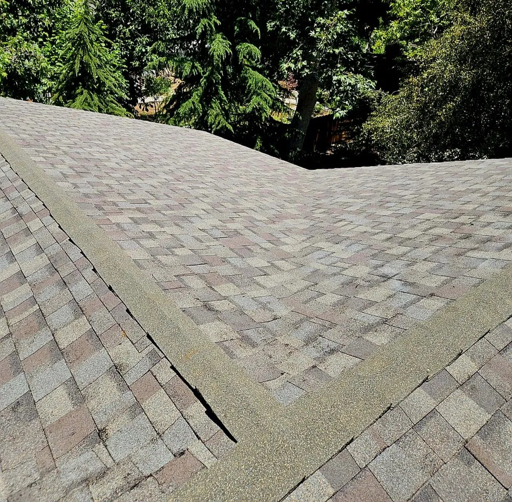 Slide of Royalty Finish