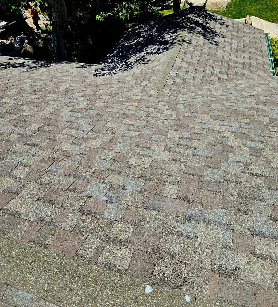 Slide of Royalty Finish