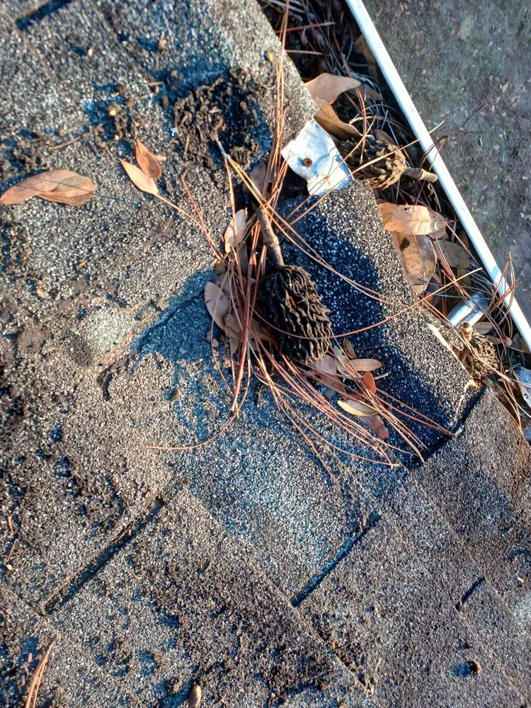 Slide of Roy's Roof Repair