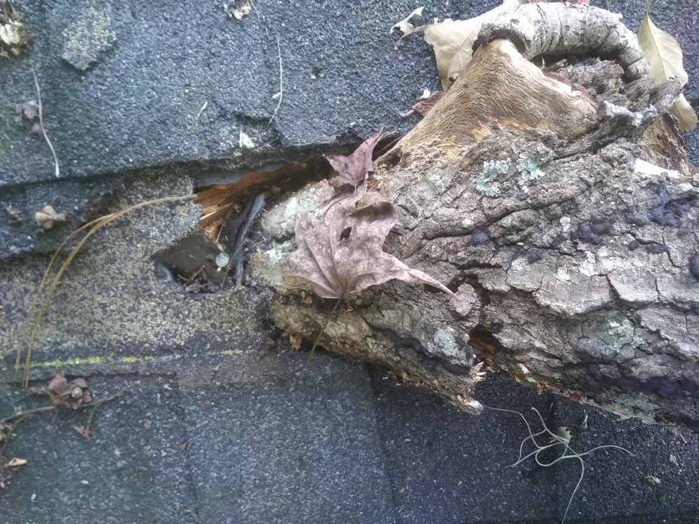 Slide of Roy's Roof Repair