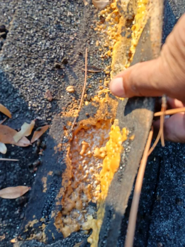 Slide of Roy's Roof Repair