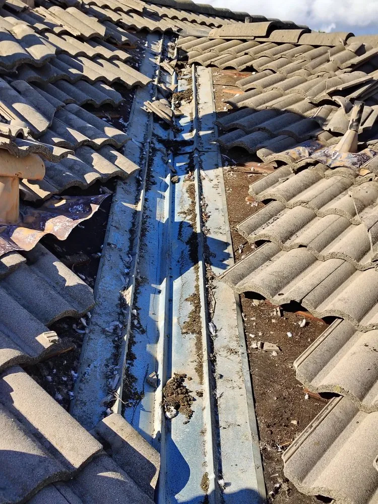 Slide of RP Gutter Cleaning