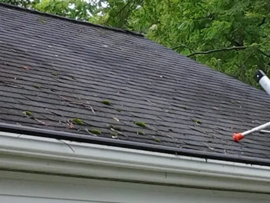 R&R Roof & Gutter Cleaning